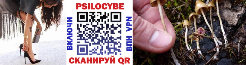 Псилоцибиновые грибы Psilocybine cubensis  Валдай 